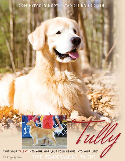 tullycover